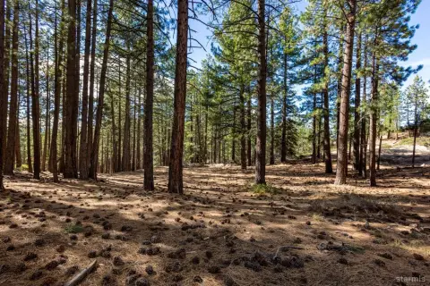Land Near Lake Tahoe Shores