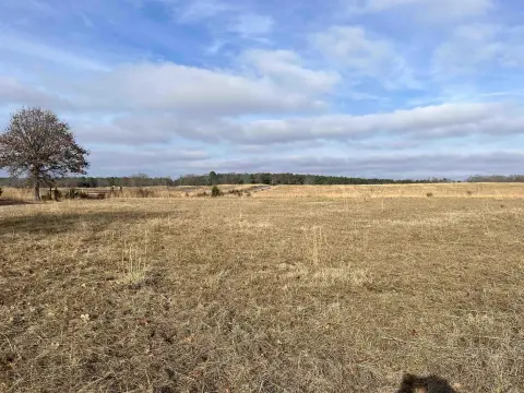Pastureland with Road Frontage