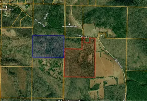 Recreational Hunting Land Tract