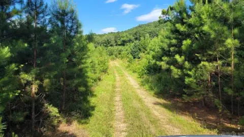 Acreage with Cleared Homesite