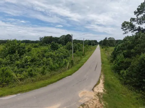 Hunting Land with Blacktop Frontage
