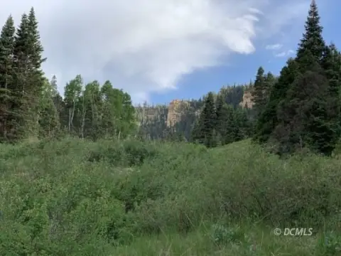 Secluded Land Near Cedar Breaks