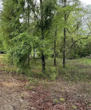 Residential Lot in Macon, GA