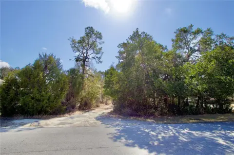 Residential Land in Weeki Wachee