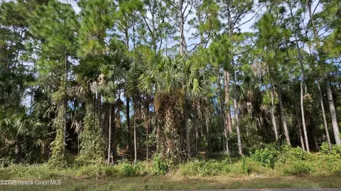 Palm Bay Land Opportunity