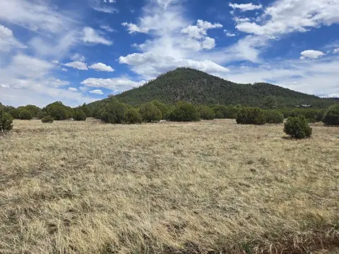 Pinetop/Lakeside Vacant Land Parcel