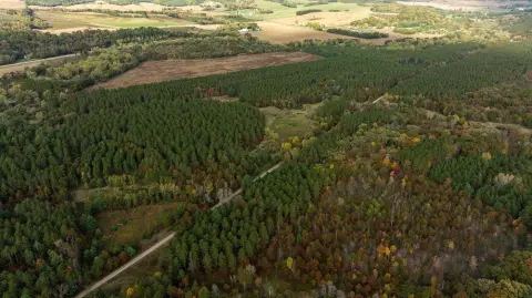90-Acre Hunting Land