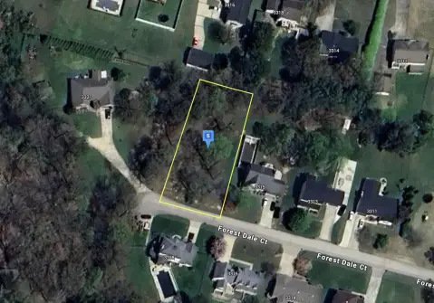 Flatwoods Vacant Lot Ready