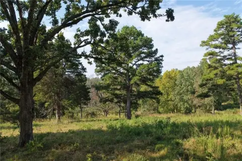28 Acres Near Harrison, AR
