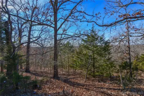 Camdenton Land in Camelot Estates