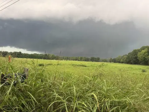 Pasture and Timber Recreational Land