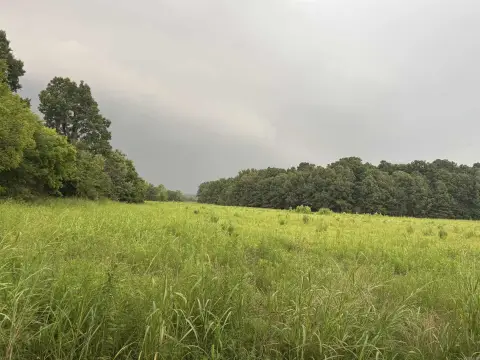 Recreation and Timber Land