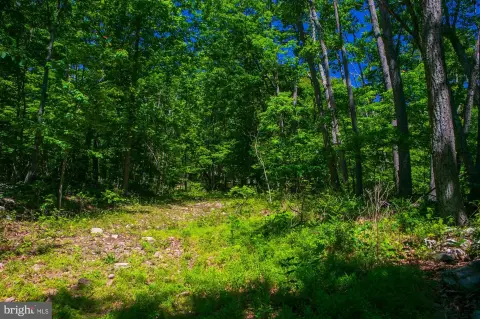 Corner Lot Homesite in Shawneeland