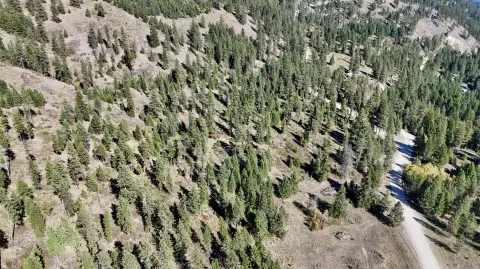 Timbered Recreation Land