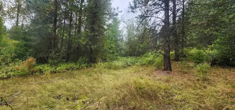 Recreational Land with Creek