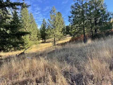 Hunting Land with Lake Views