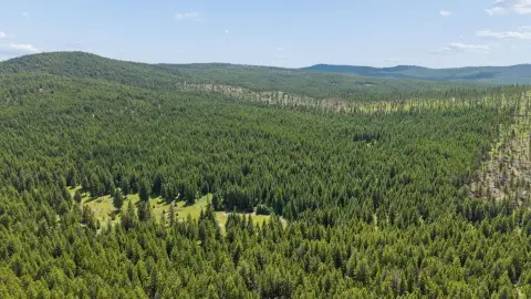 Recreational Hunting Land