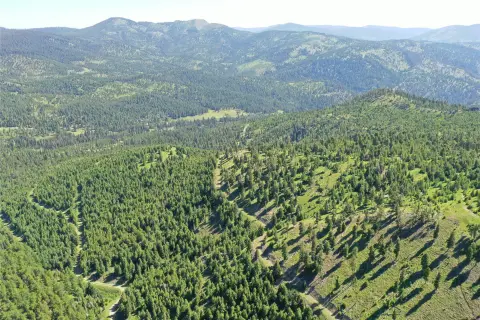 Hunting Land with Seasonal Spring