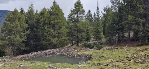 Land with Springs