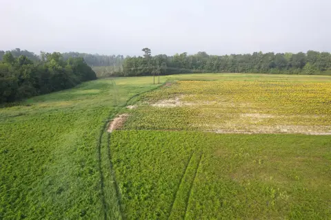 Hunting and Homesite Land Tract