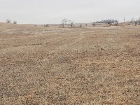 Vacant Land in Belden, Nebraska