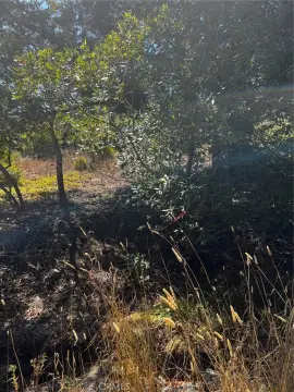 Cambria Land Lot Opportunity