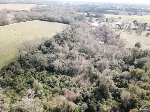 13 Acres in Jay, FL