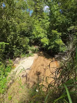 Wooded Creekside Land