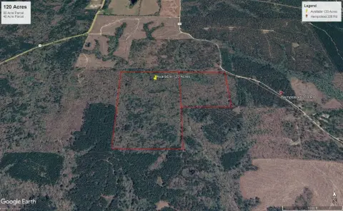 Wooded Hunting Land
