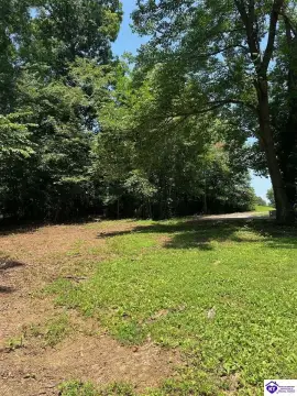 Campbellsville, KY Wooded Lot
