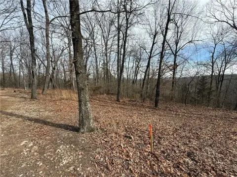 Secluded Acreage with Building Potential