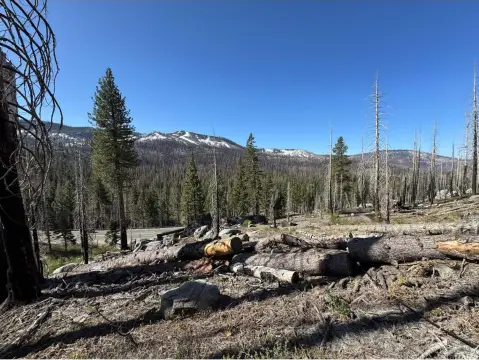South Lake Tahoe Land Parcel