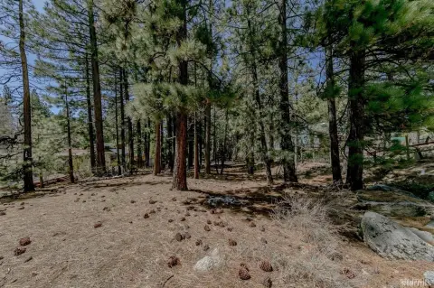 South Lake Tahoe Homesite