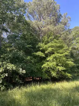 Hunting Land with Year-Round Creek