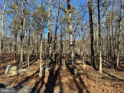 Wooded Lot in Winchester, VA