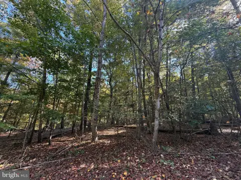 Waterfront Recreational Lot in Lake Holiday
