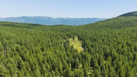 Hunting and Recreation Land Parcel