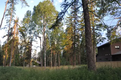 Residential Homesite with Mountain Views