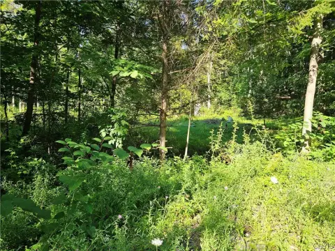 Wooded Recreation Land Parcel