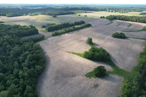 Productive Farm with Timber