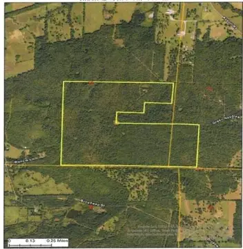 Expansive Timberland Tract Near Mansfield