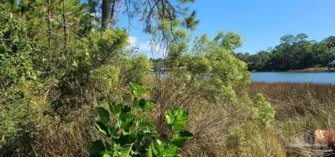 Waterfront Lot in Bay Point