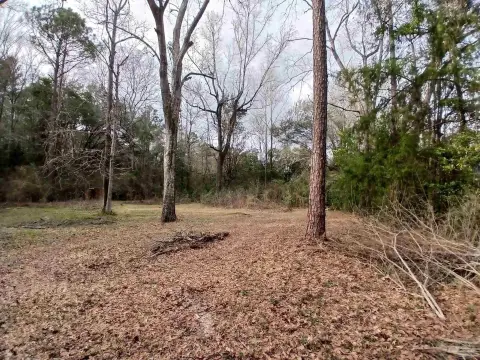 Residential Lot in Cantonment, FL