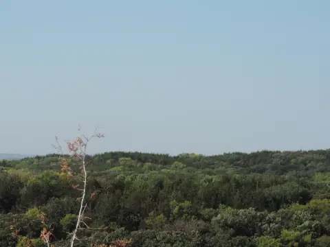 Land Near Lewis and Clark Lake