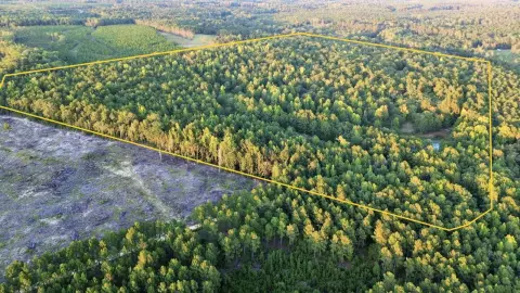 Hunting Land with Pond