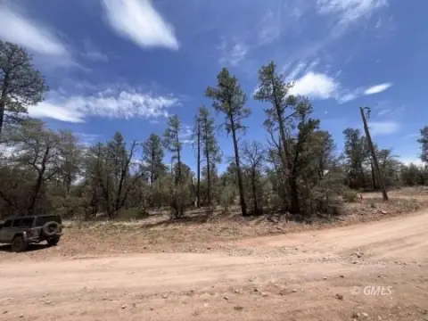 2.5 Acres Wooded Land