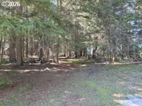 Wooded Land in Appleton, WA