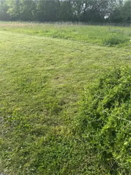 10 AC Buildable Lot