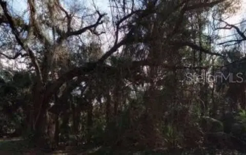 Wooded Lot in Fernandina Beach