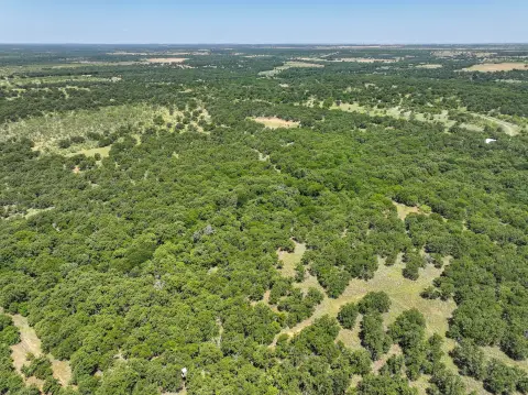 High-Fence Hunting Ranch with Cabin